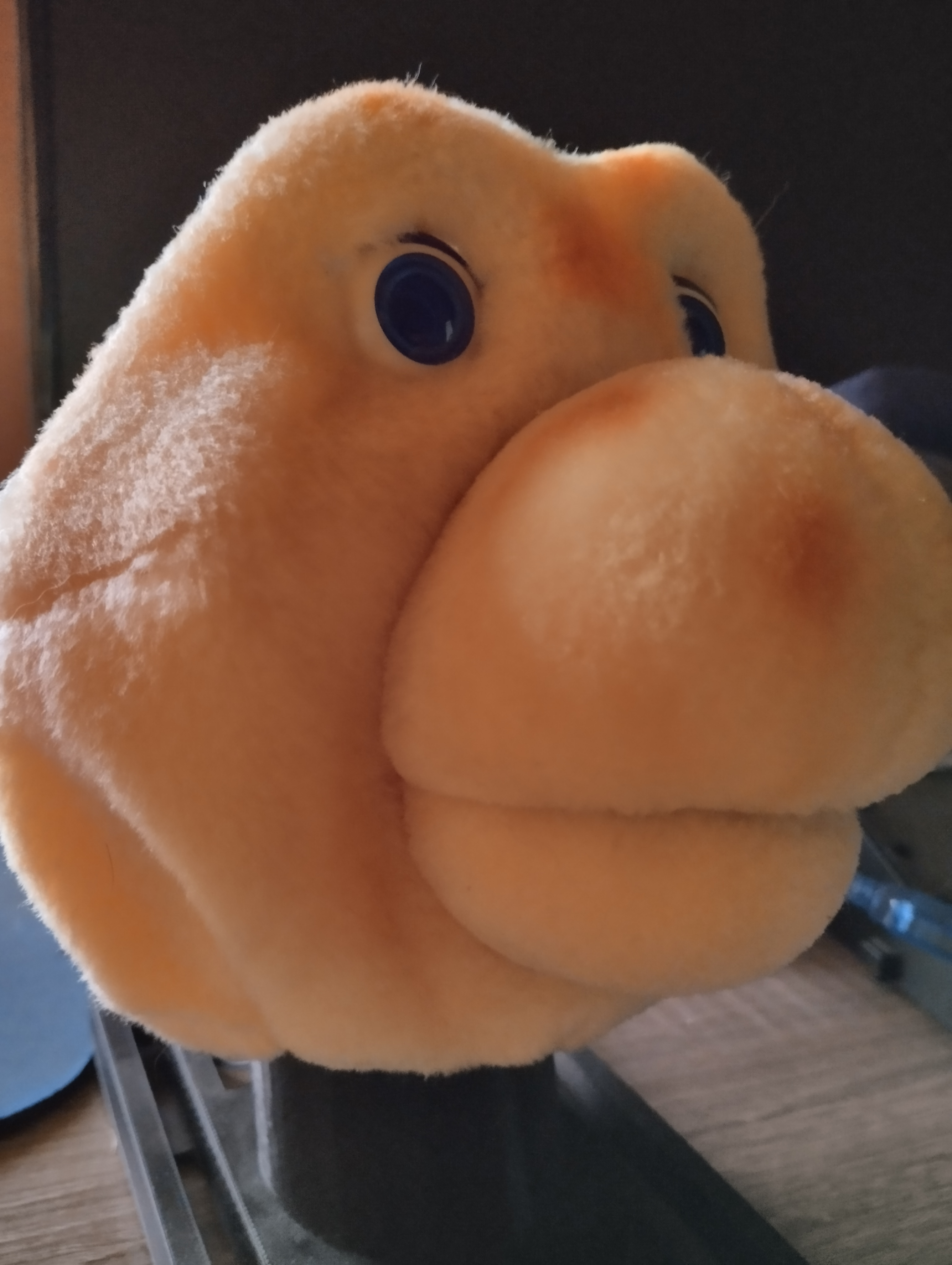 Davie prototype study